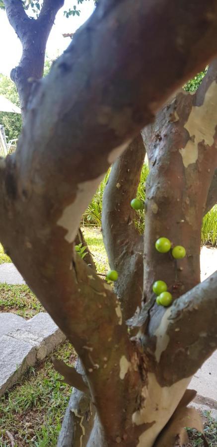 Pousada Guaruja Бомбиньяс Экстерьер фото